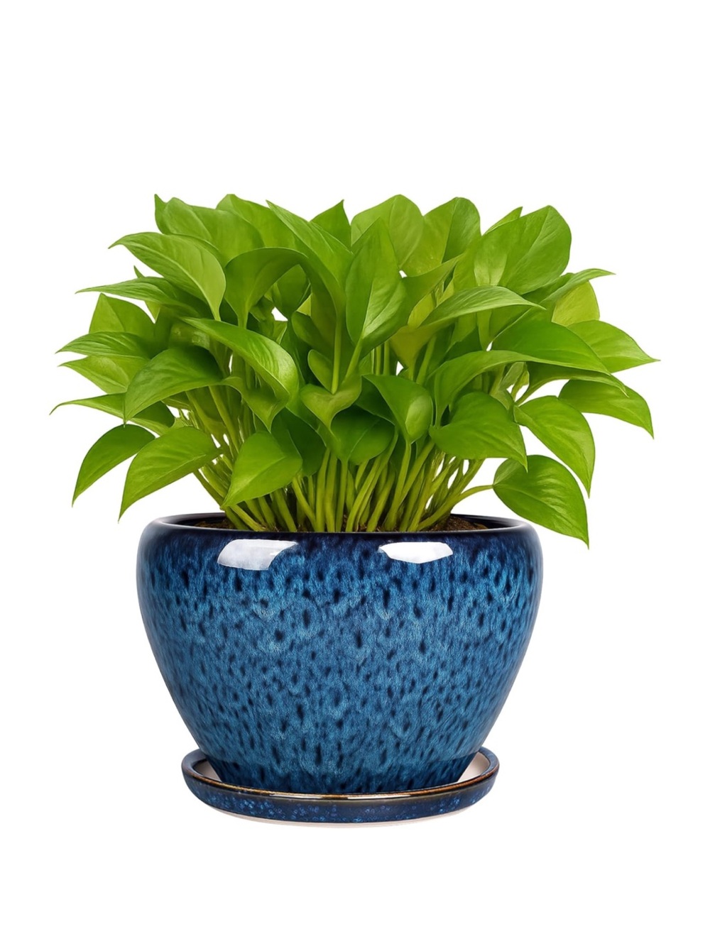6.4” Ceramic Planter With Tray